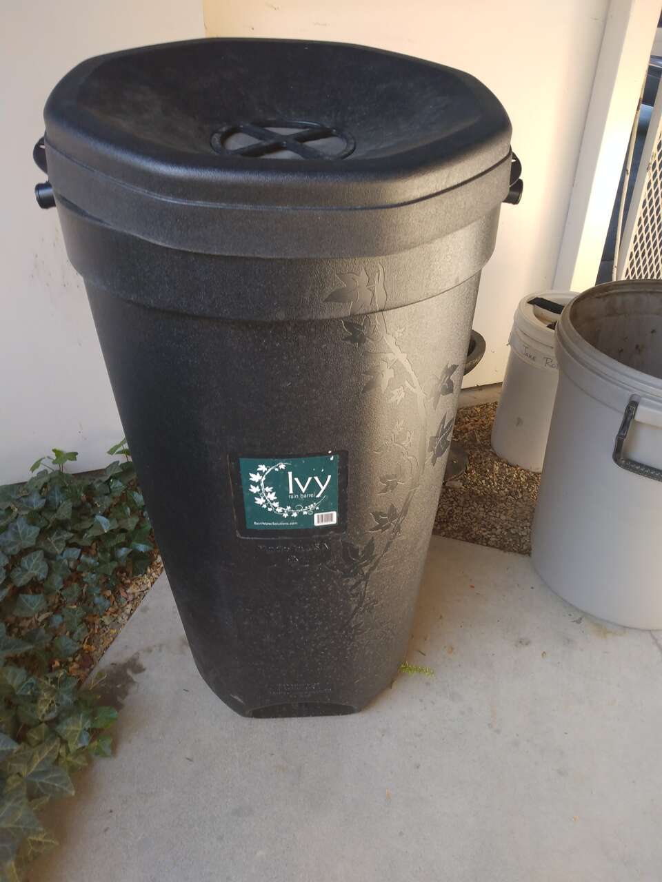 Ivy rain barrell