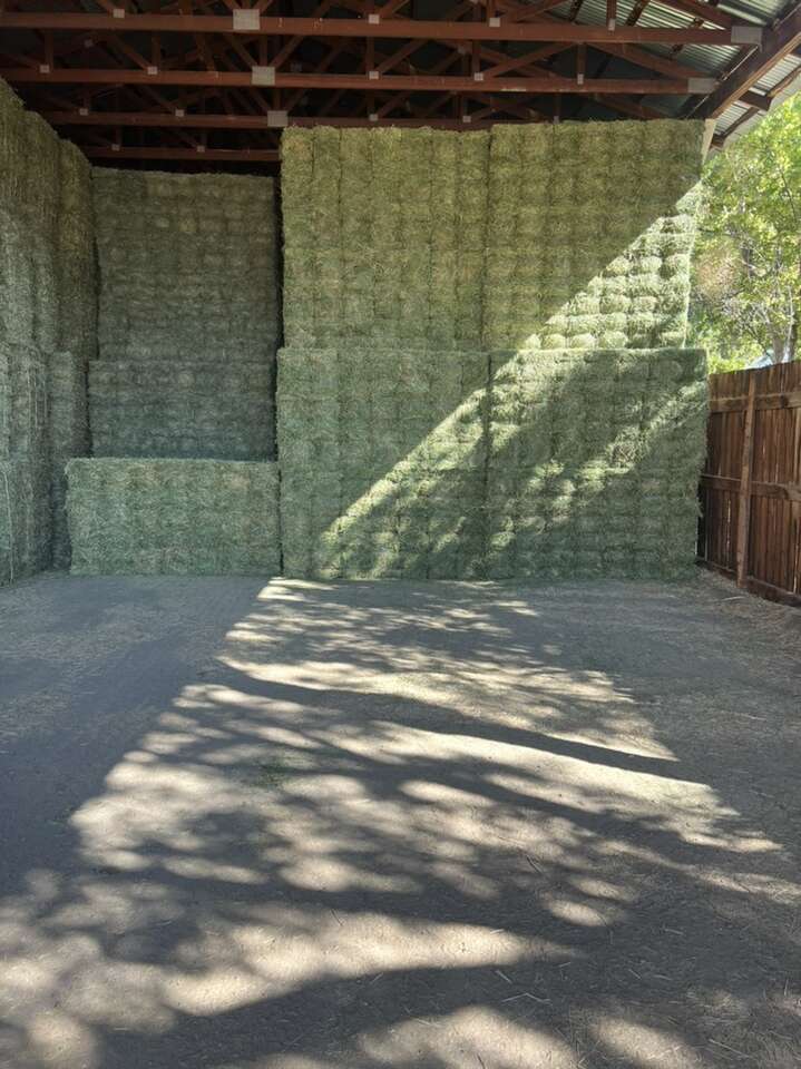 Premium, 21 Small Bale bundle, Certified weed free available