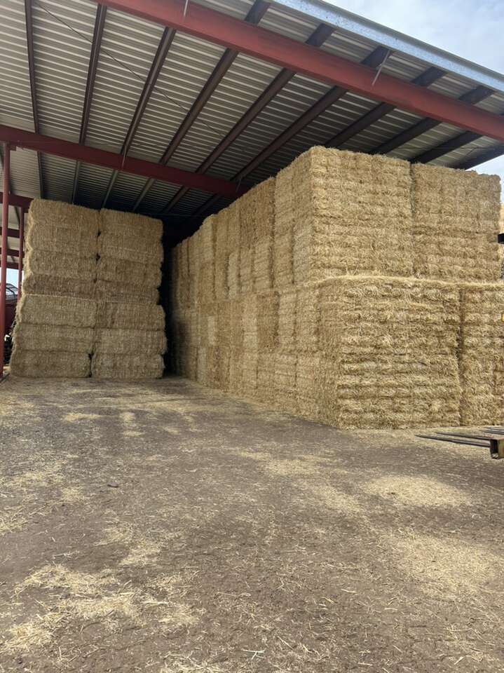 SALE, Small straw Bales, Bundle, Certified Weed Free