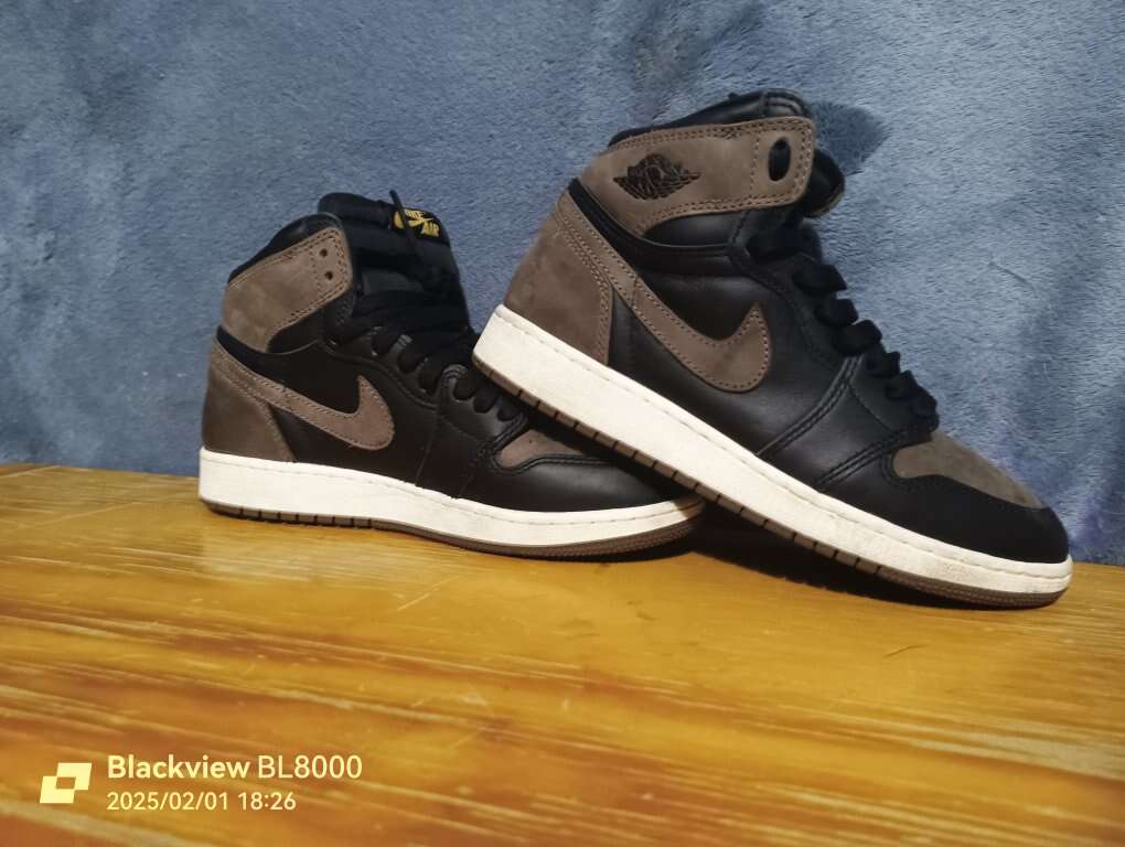 Jordan 1 Retro High OG Palomino
Palomino