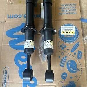 Front Struts for 2010-2023 Toyota 4runner