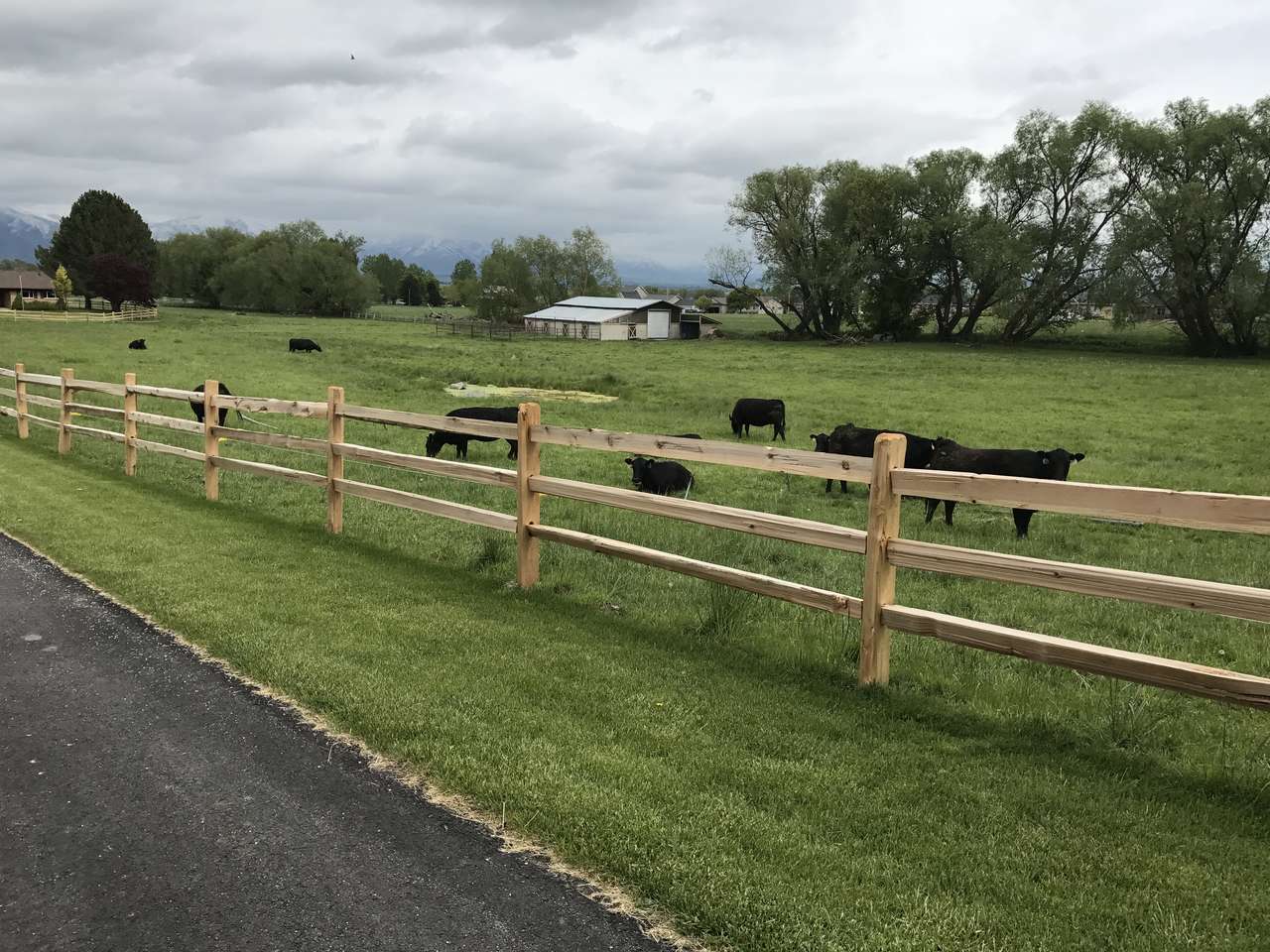 Split Rail Cedar Fence