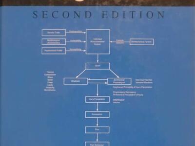 Biomechanics in Ergonomics 2nd Edition