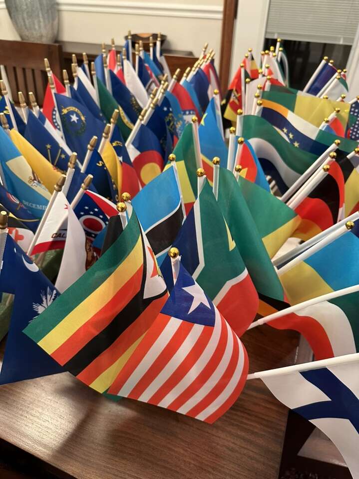 World And State Flags