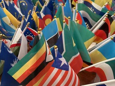 World And State Flags
