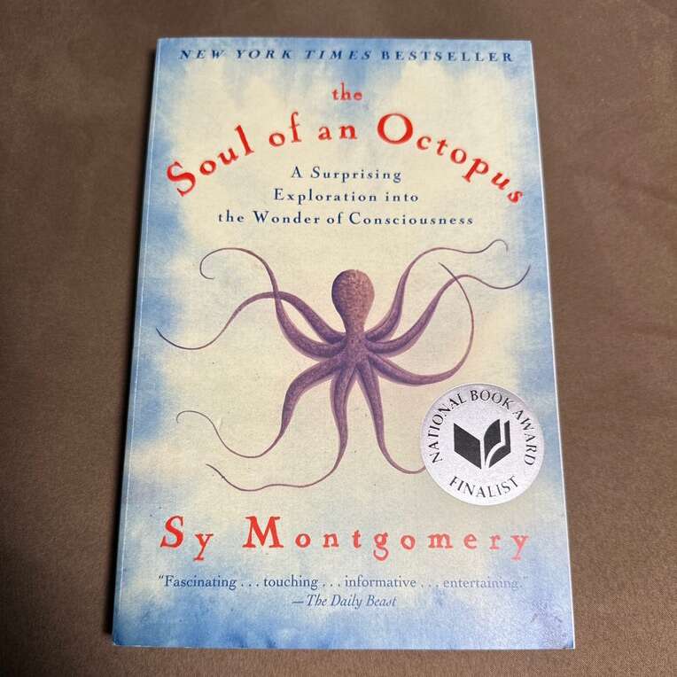 Soul Of An Octopus