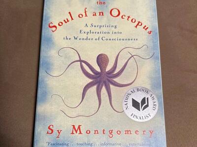 Soul Of An Octopus