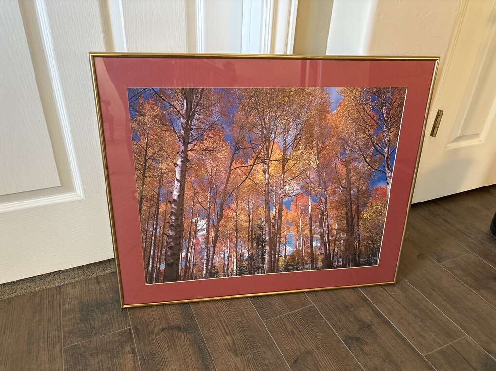 Framed Nature Photograph