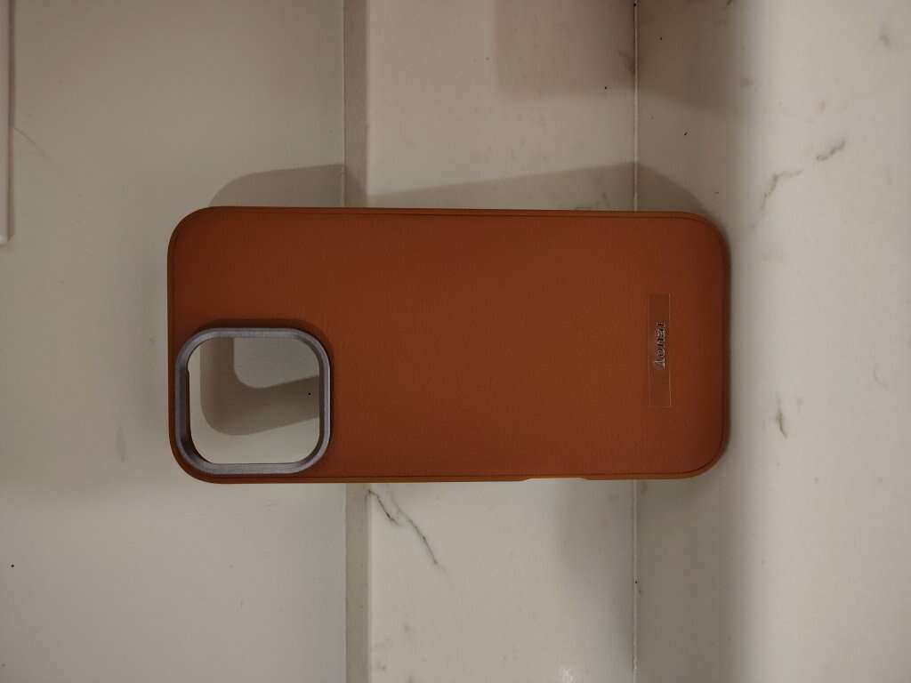 iPhone 16 pro max case