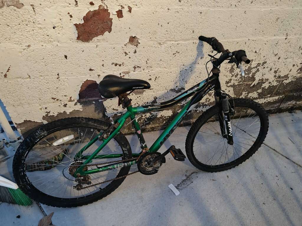 Two free adult bikes FREE