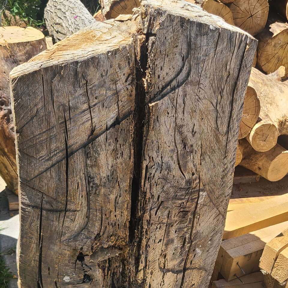 Cottonwood Log