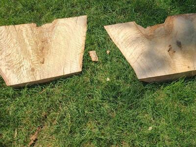 Cottonwood Slabs, $20.00 each, cash