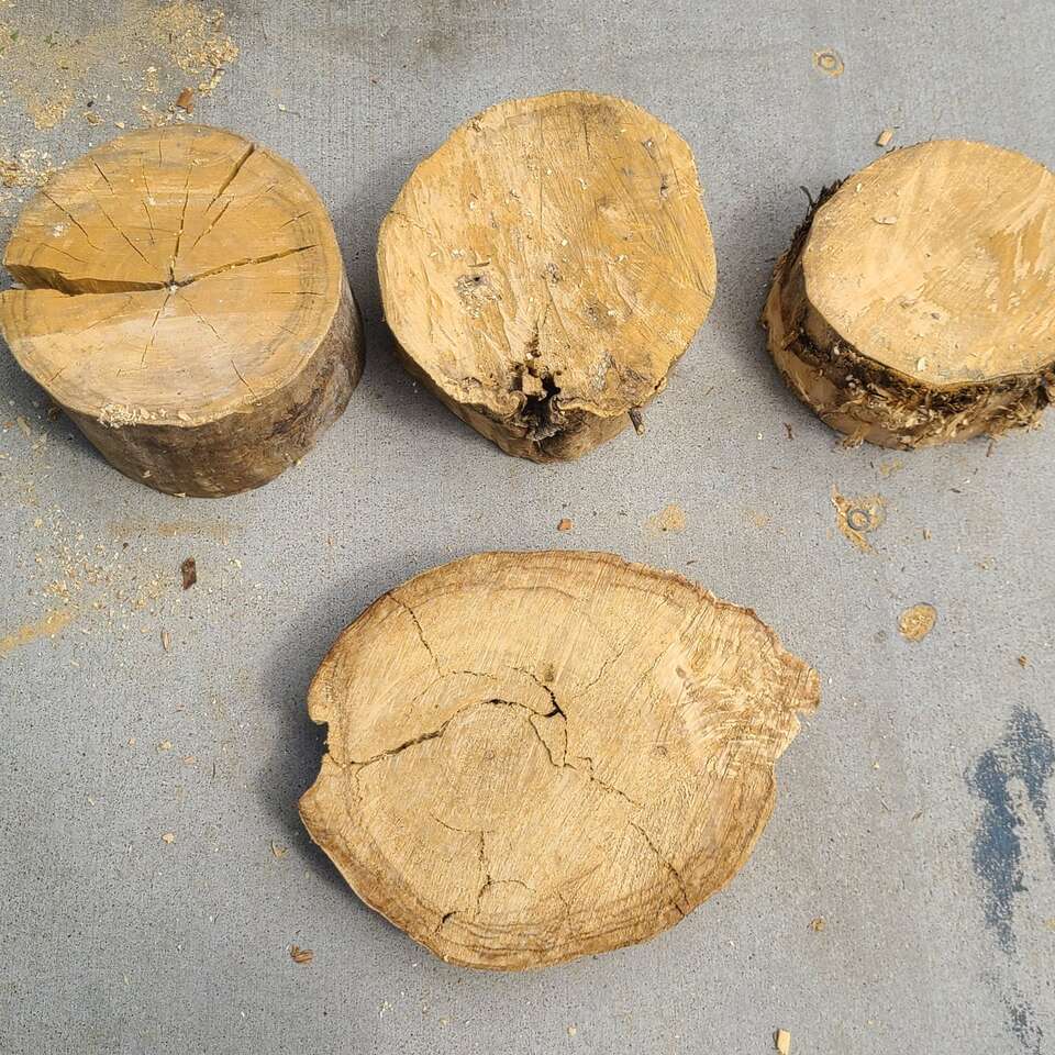 Cottonwood Thick Rounds, $10.00 each, cash