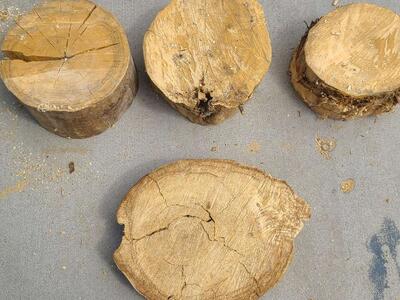 Cottonwood Thick Rounds, $10.00 each, cash