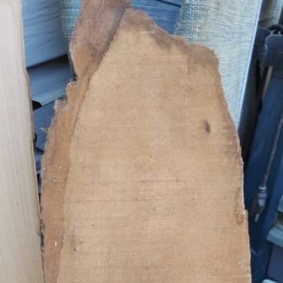 #18 Washington State Pacific Northwest Wood Slab