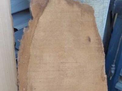 #18 Washington State Pacific Northwest Wood Slab