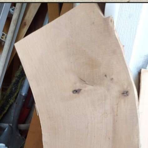 #16 Washington State Pacific Northwest Wood Slab