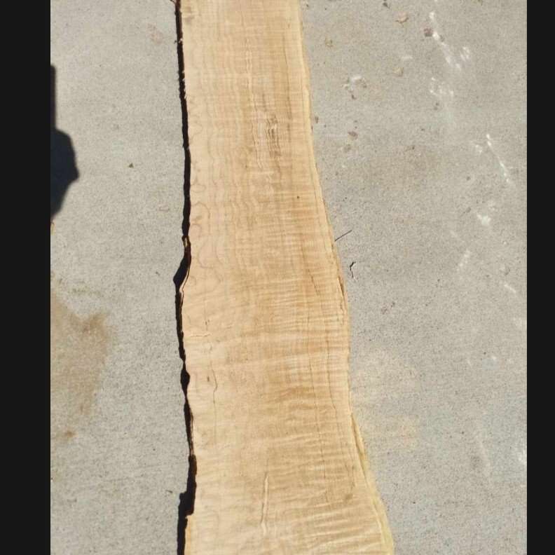 #9 Washington State Pacific Northwest Wood Slab