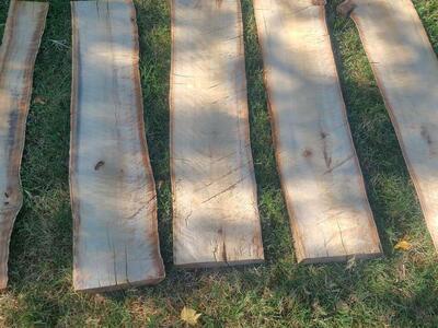 Cottonwood Slabs-(pic 1) $5 Board Foot