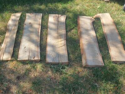 Cottonwood Slabs-(pic 3) $5 Board Foot
