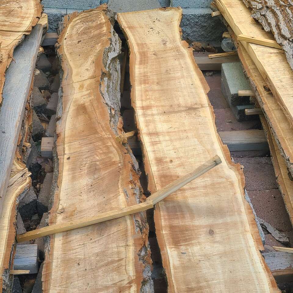 (#5) Elm Wood Slabs-$5 Board Foot