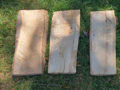 Cottonwood Slab, cash only