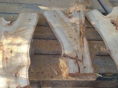 Cottonwood Slabs, Cash only