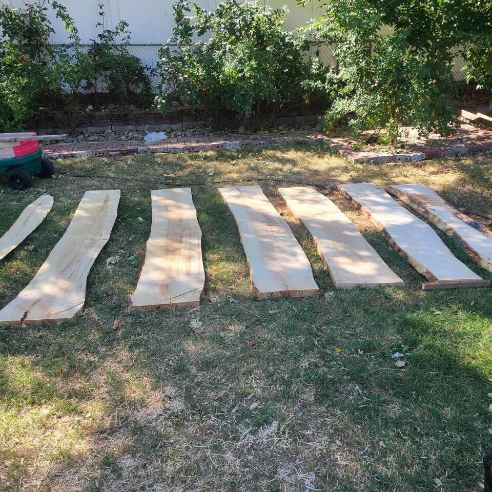 Willow Slabs, cash only,  $5 board foot