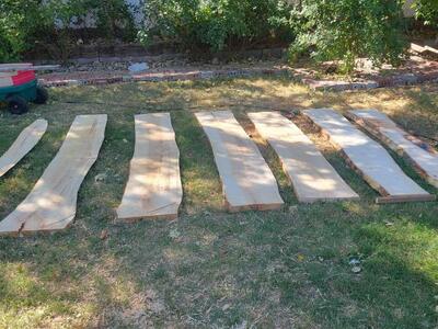 Willow Slabs, cash only, $5 board foot