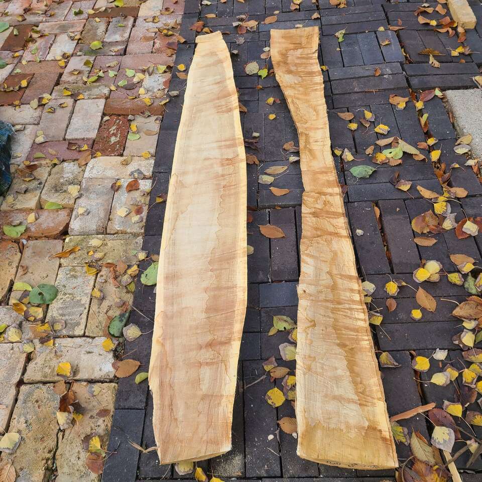 (#3) Elm Wood Slabs $5 Board Foot