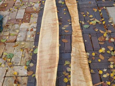 (#3) Elm Wood Slabs $5 Board Foot