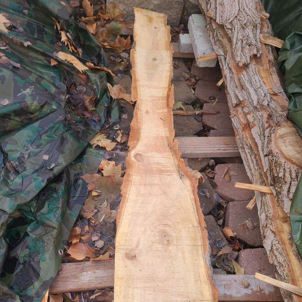 (#4) Elm live edge slab, $5.00  board foot