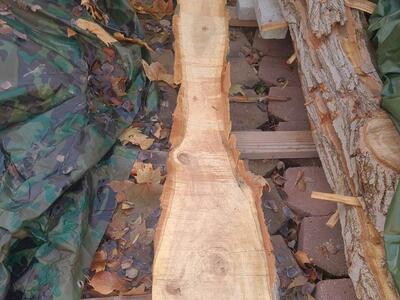 (#4) Elm live edge slab, $5.00 board foot
