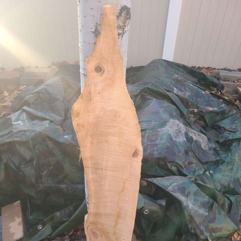 Elm Wood Piece, $5.00 cash