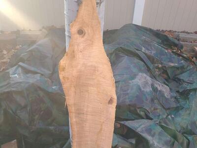 Elm Wood Piece, $5.00 cash