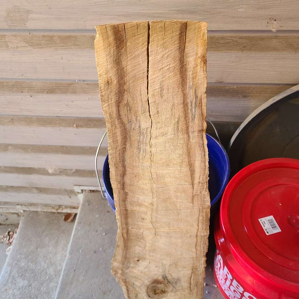 Cottonwood Slab piece $5.00 cash