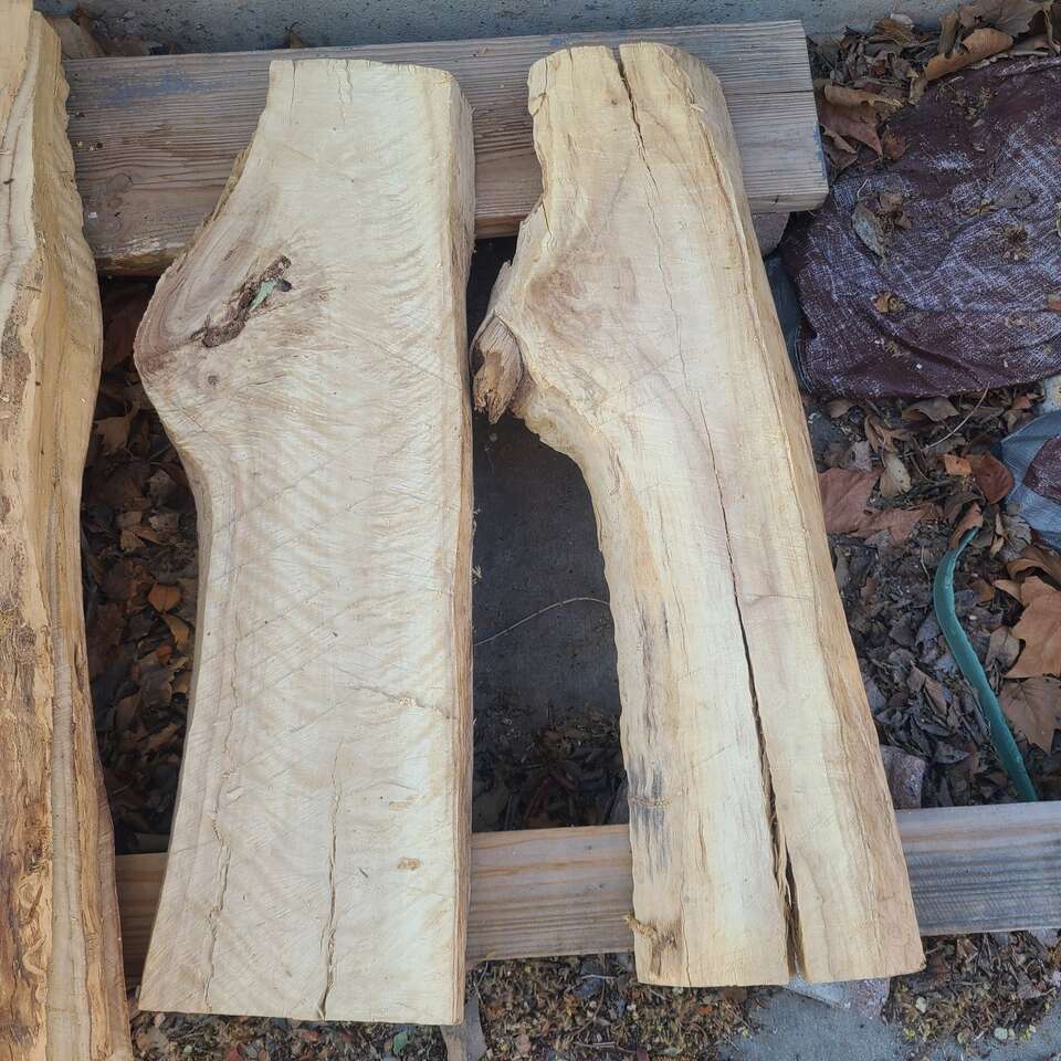 Cottonwood Slabs (pic 7) $5 board ft cash only