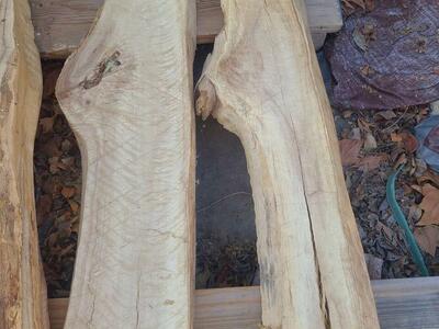 Cottonwood Slabs (pic 7) $5 board ft cash only