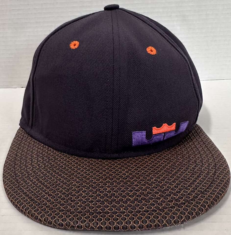 Nike True LeBron James Instinct Snapback