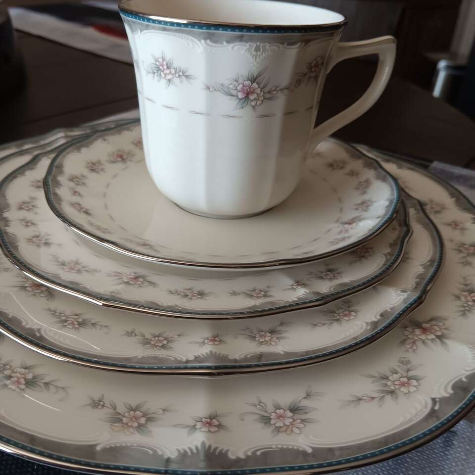 60 Piece Norita Traviata Dinner Plates