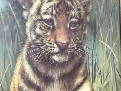 $422 Rare Large Gua Original Painting Tiger