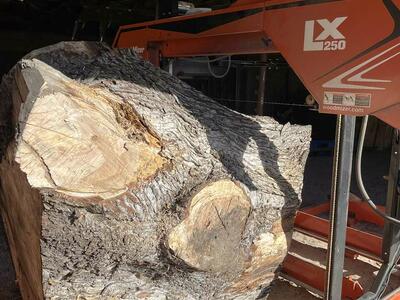 Sawmill, Sawmilling Slabs, beams, Custom Sawmilling