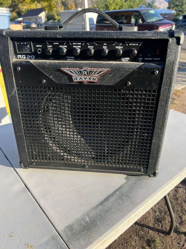 Raven RG20 Amplifier Speaker