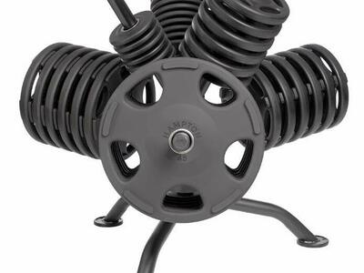 Hampton Fit rotating Olympic plate storage rack