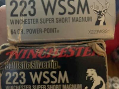 223 Wssm Ammo