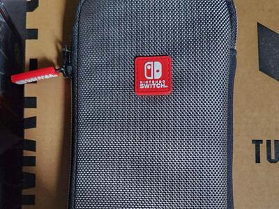 Nintendo Switch Lite Case