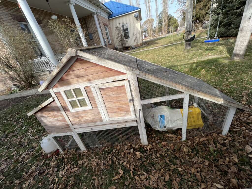 Chicken Coop Livestock