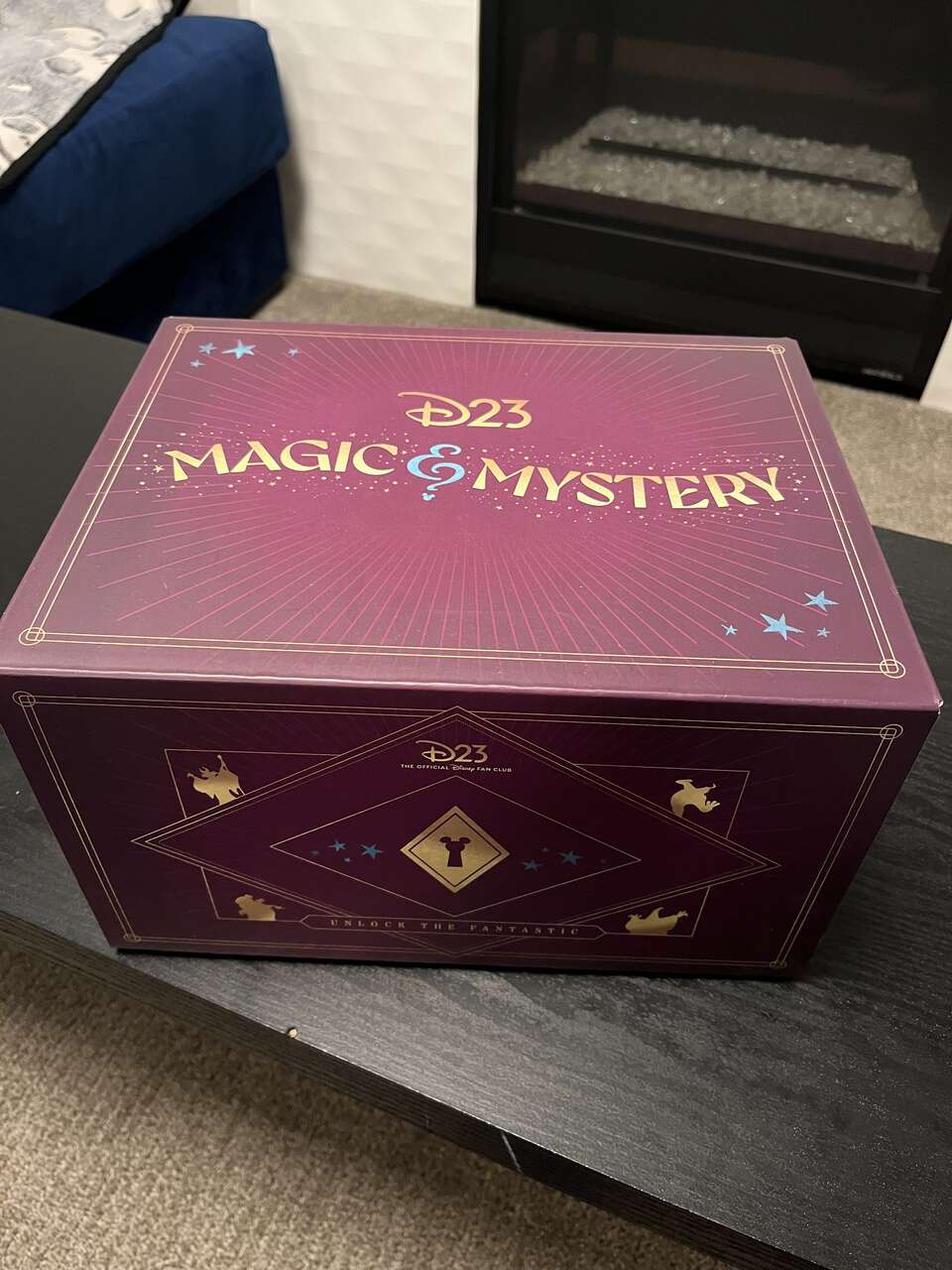 D23 Magic & Mystery Box