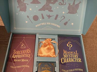 D23 Magic & Mystery Box