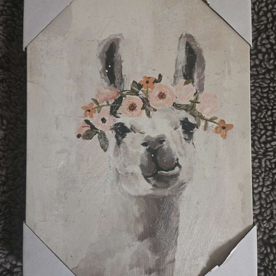 super cute Llama canvas